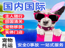 白云机场快递国际宠物托运 【国